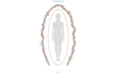 Your Body Is Electric: What That Really Means