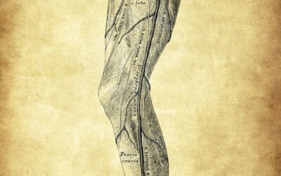 PART 1 Fascia, Light & the Intelligent Body